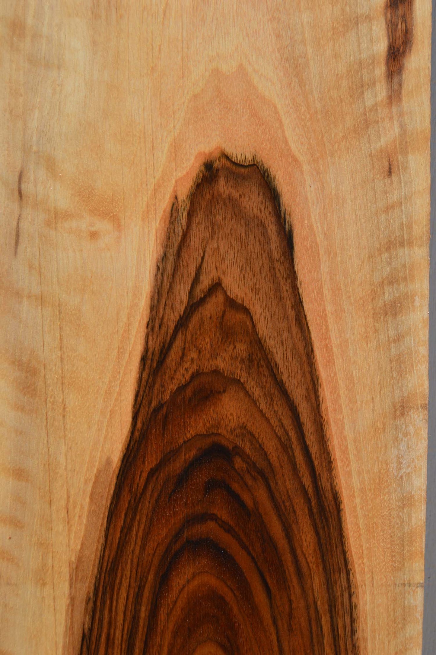 English Walnut Specialty Piece ENGSPC43