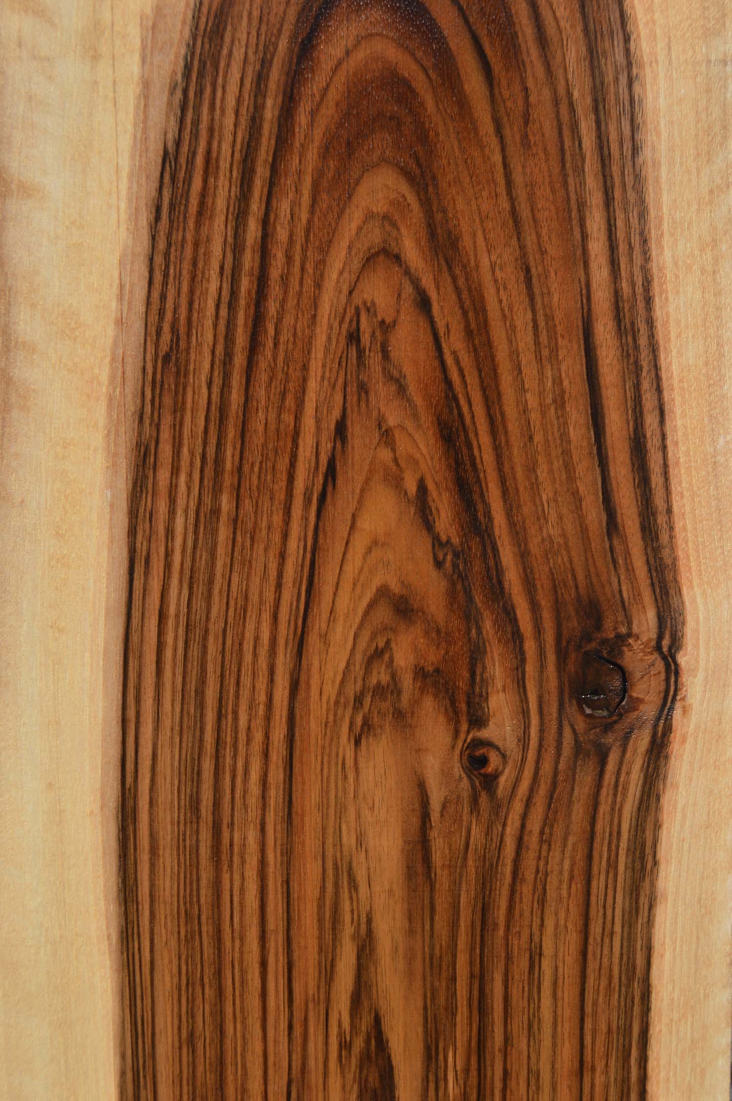 English Walnut Specialty Piece ENGSPC43