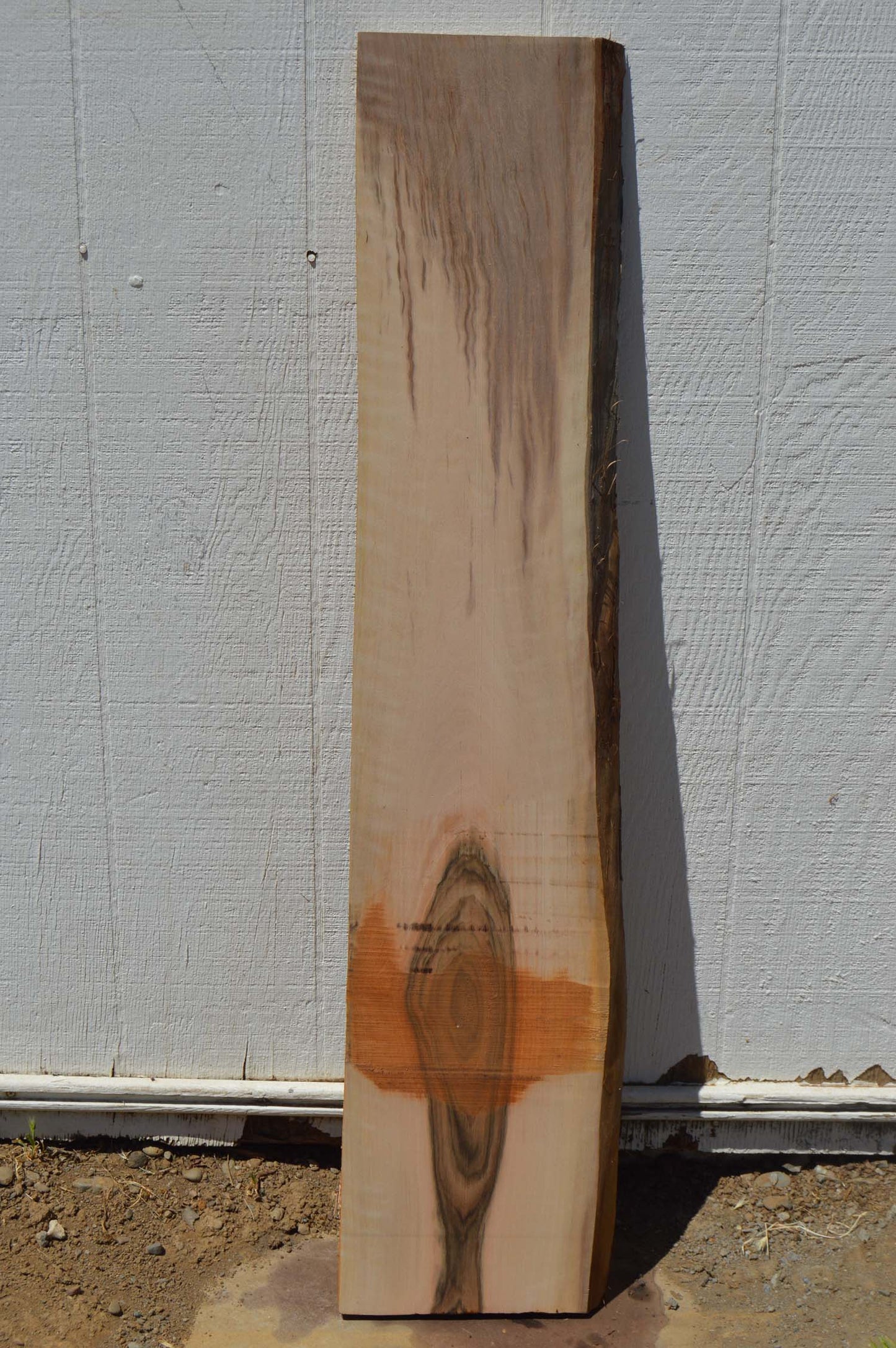 English Walnut Specialty Piece ENGSPC43