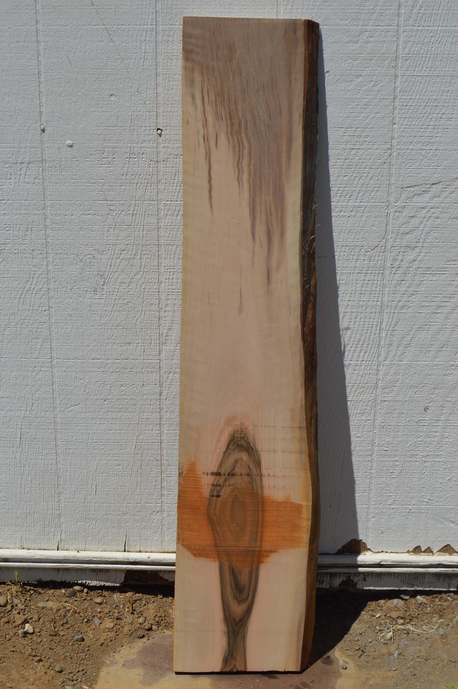 English Walnut Specialty Piece ENGSPC43