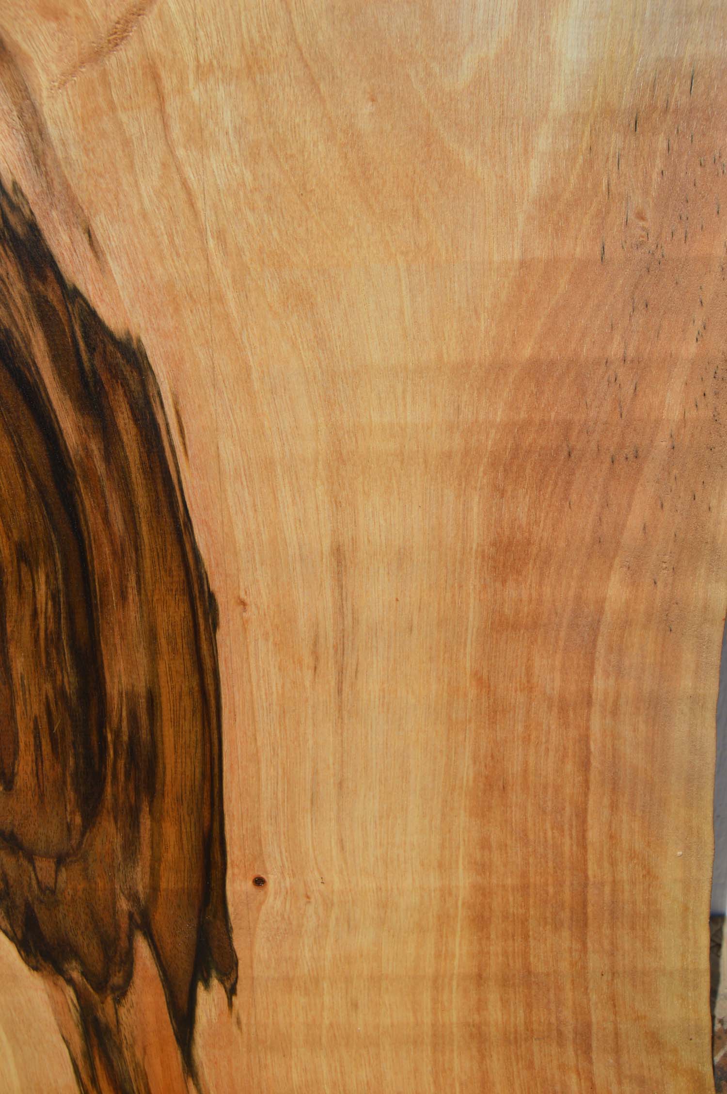 English Walnut Specialty Piece ENGSPC50