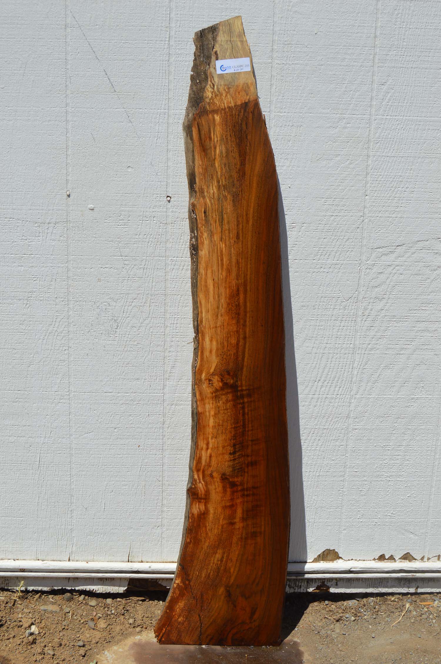 Claro Walnut Specialty Piece CLASPC255