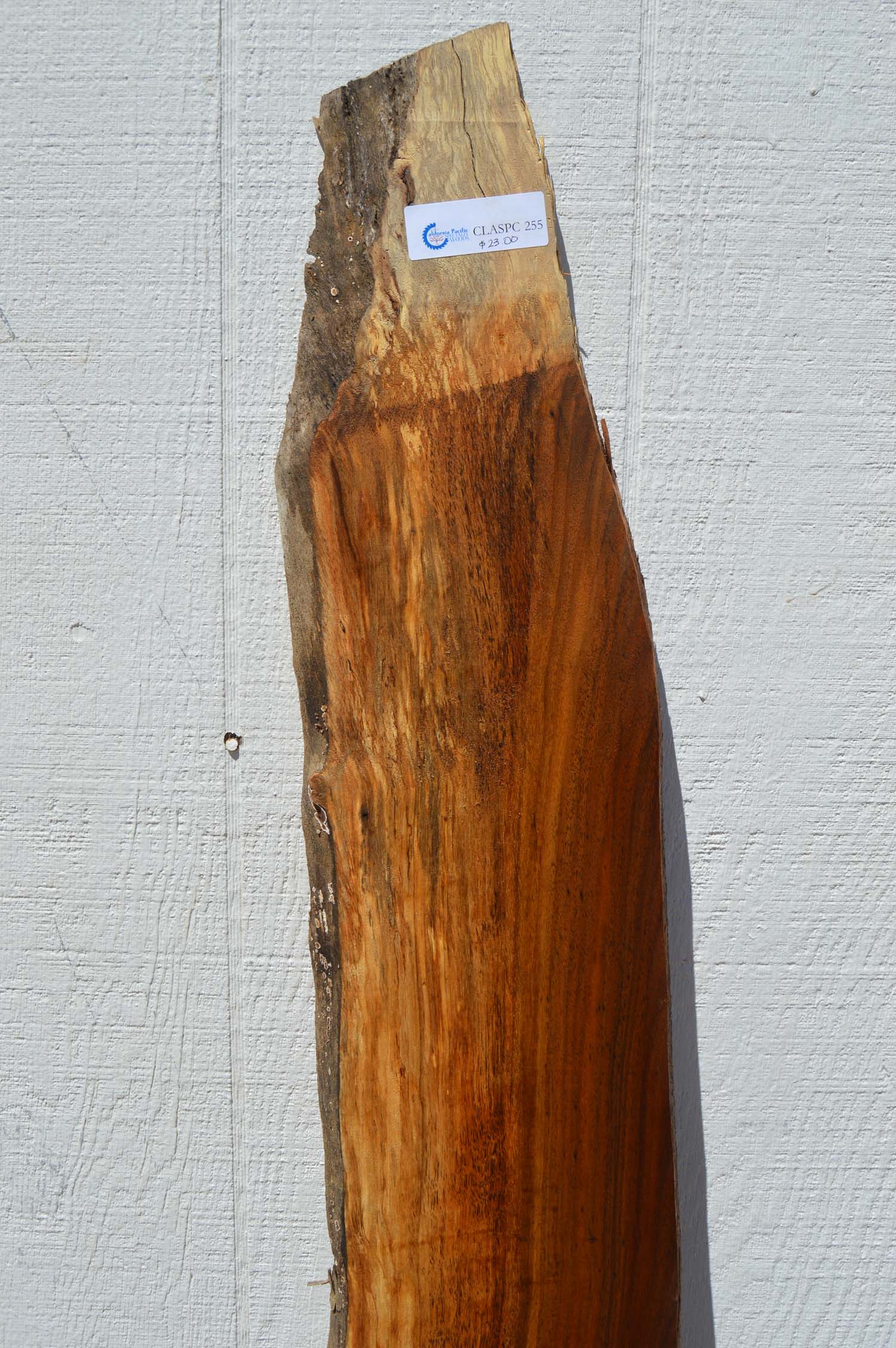 Claro Walnut Specialty Piece CLASPC255