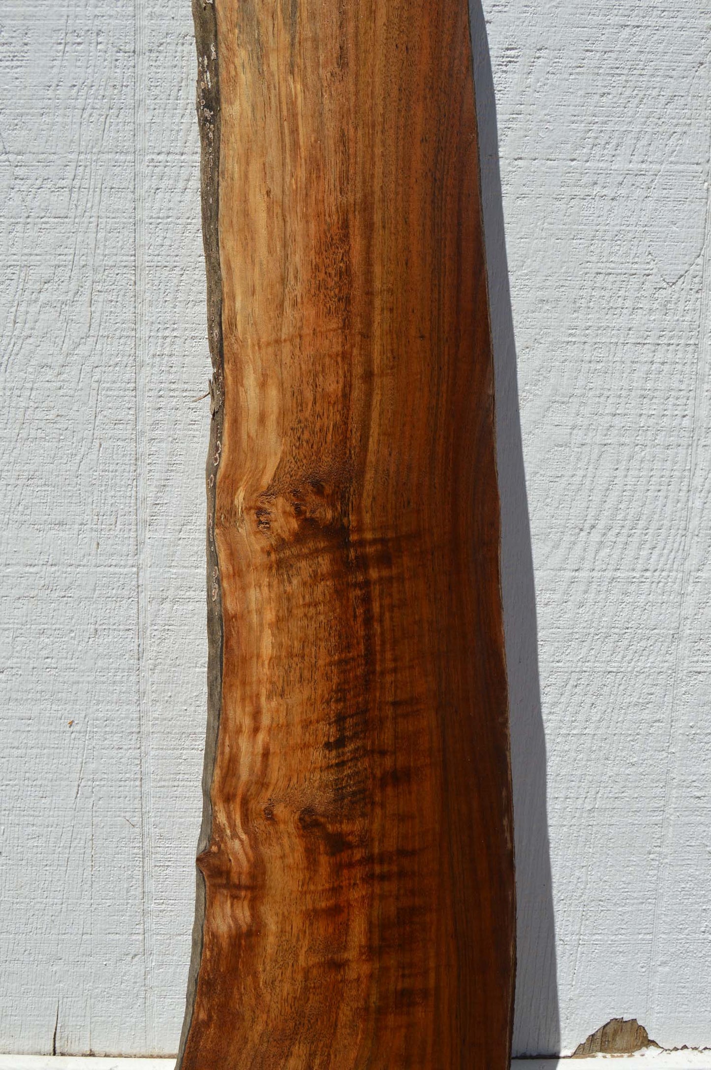 Claro Walnut Specialty Piece CLASPC255