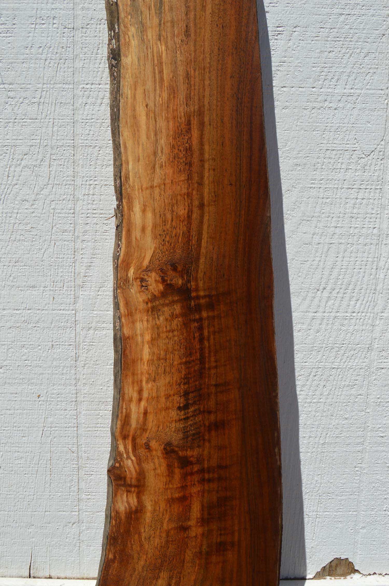 Claro Walnut Specialty Piece CLASPC255
