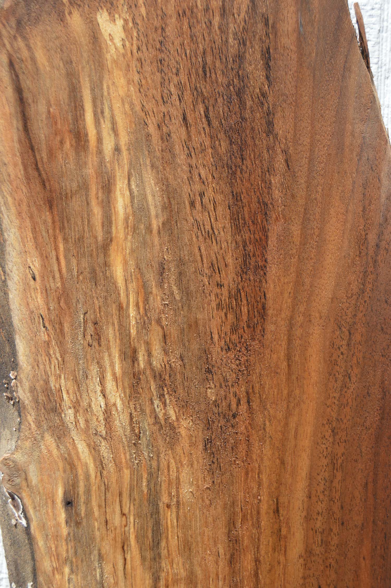 Claro Walnut Specialty Piece CLASPC255