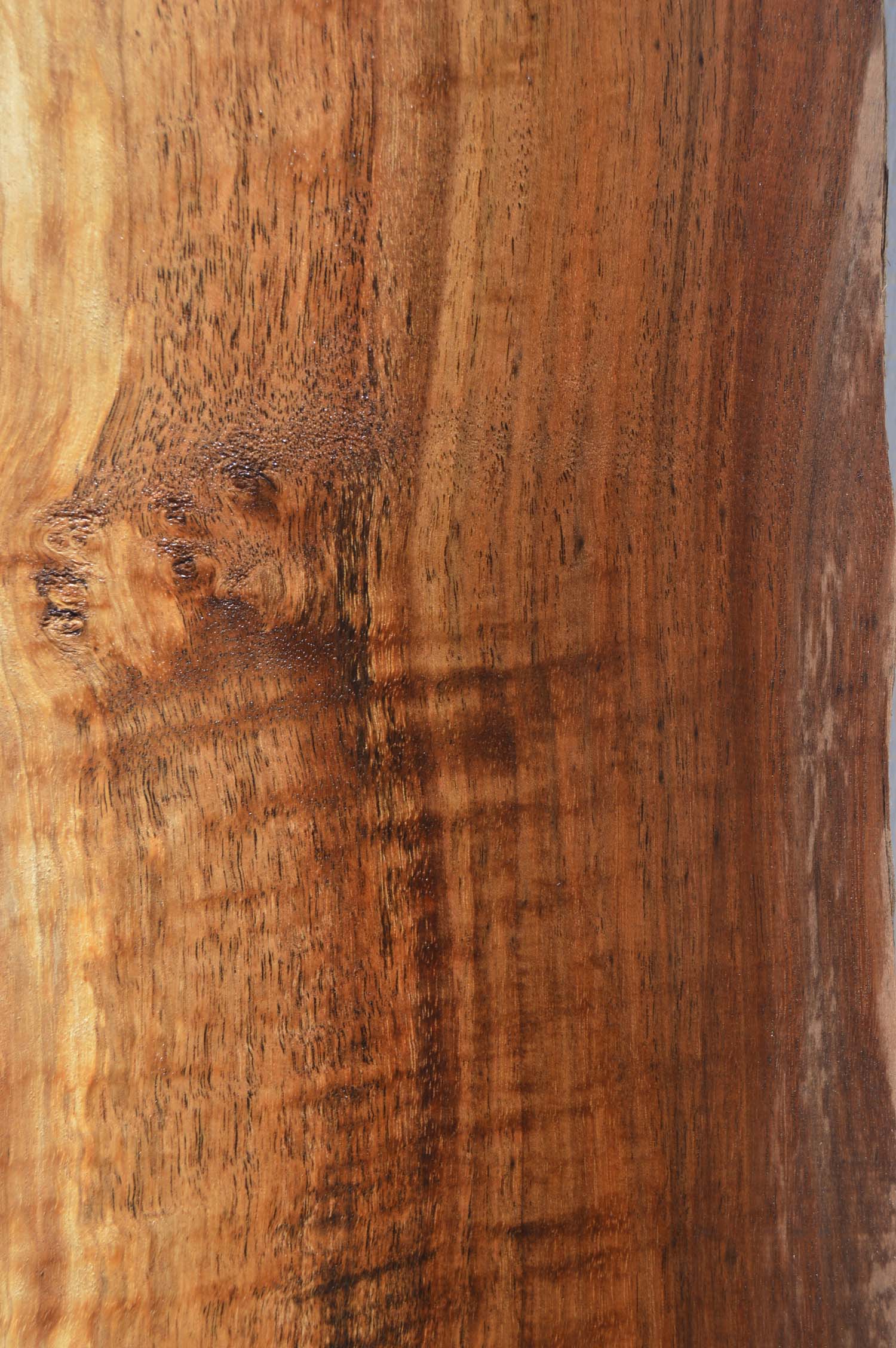 Claro Walnut Specialty Piece CLASPC255