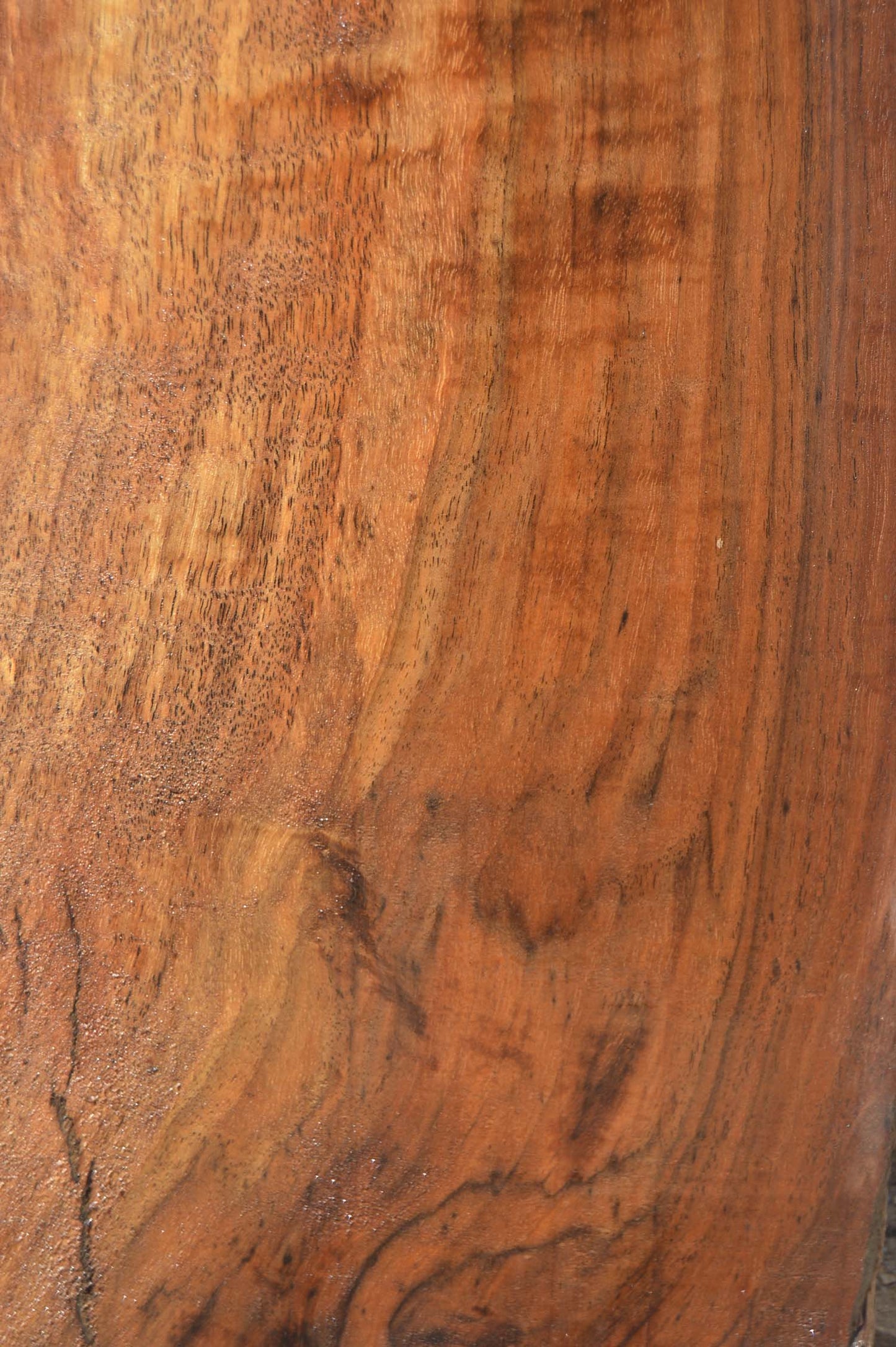 Claro Walnut Specialty Piece CLASPC255