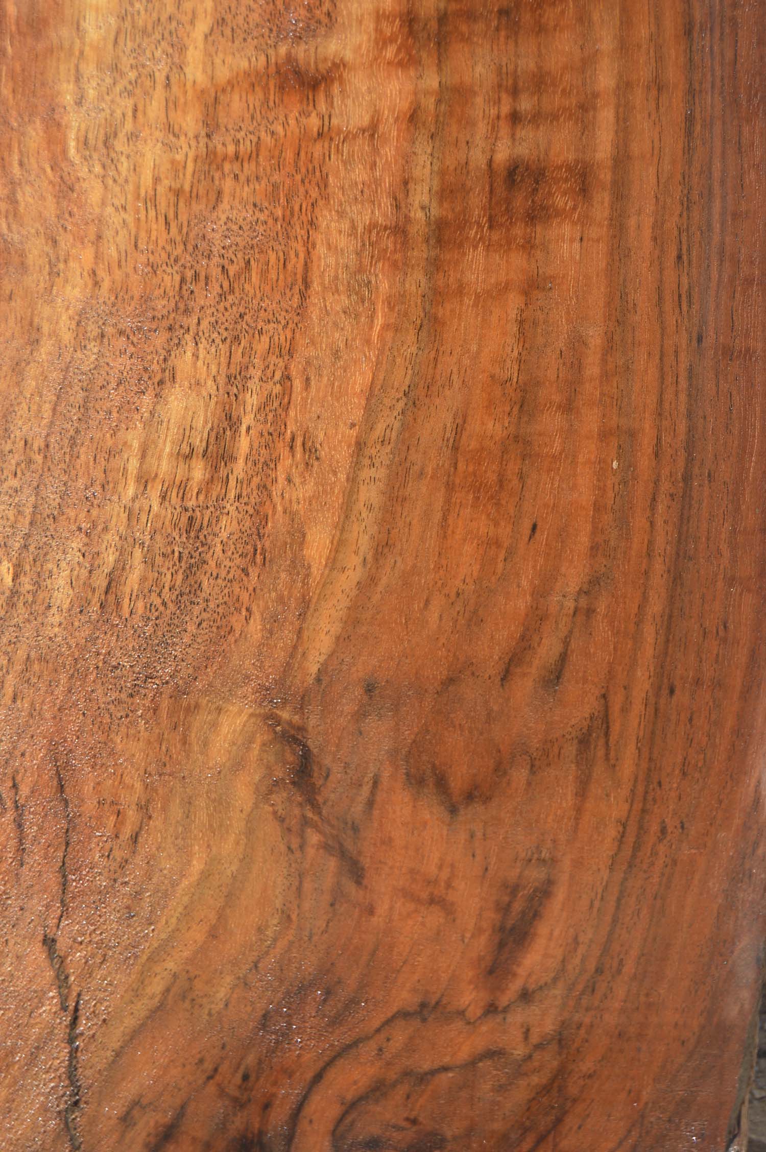 Claro Walnut Specialty Piece CLASPC255