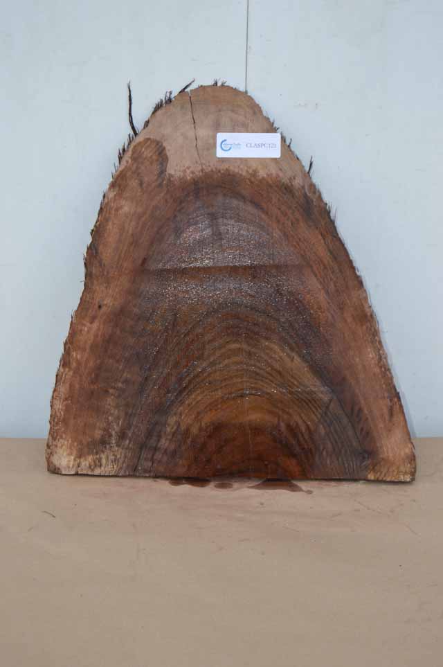 Claro Walnut Specialty Piece CLASPC121