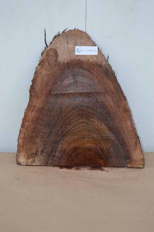 Claro Walnut Specialty Piece CLASPC121