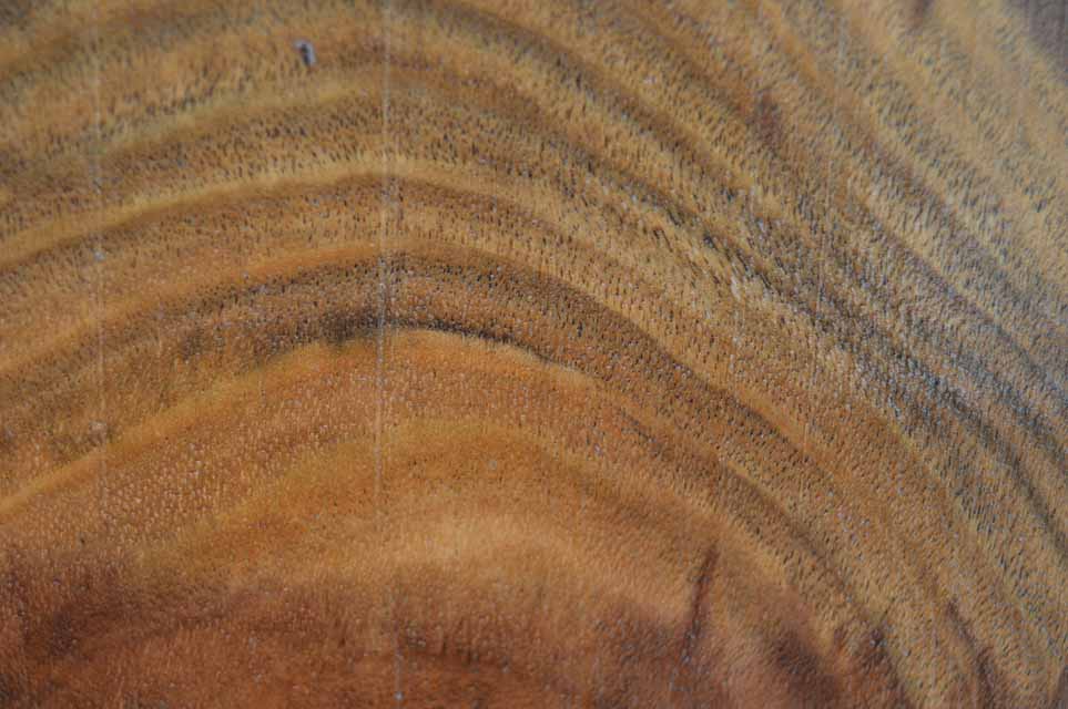 Claro Walnut Specialty Piece CLASPC121