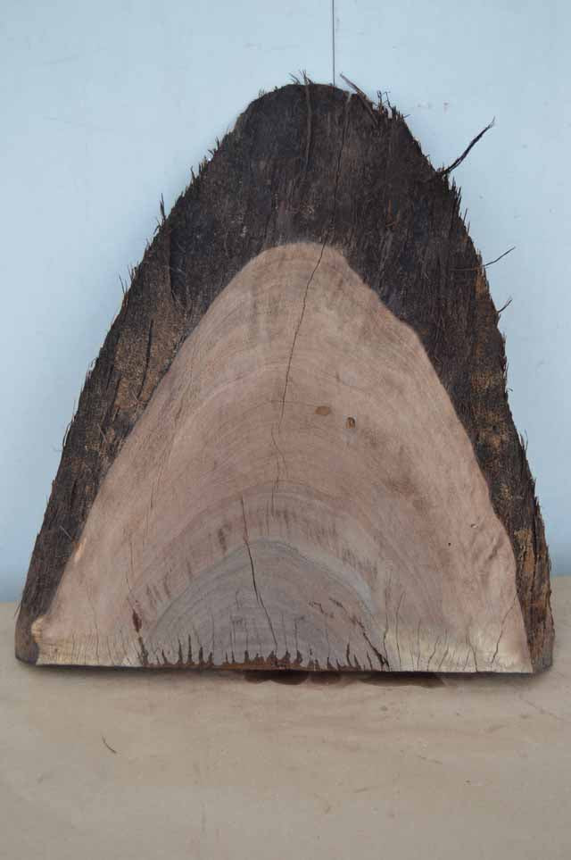 Claro Walnut Specialty Piece CLASPC121