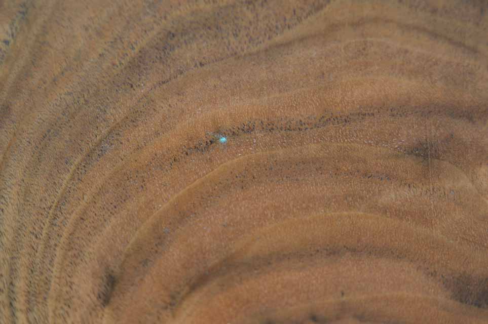 Claro Walnut Specialty Piece CLASPC104