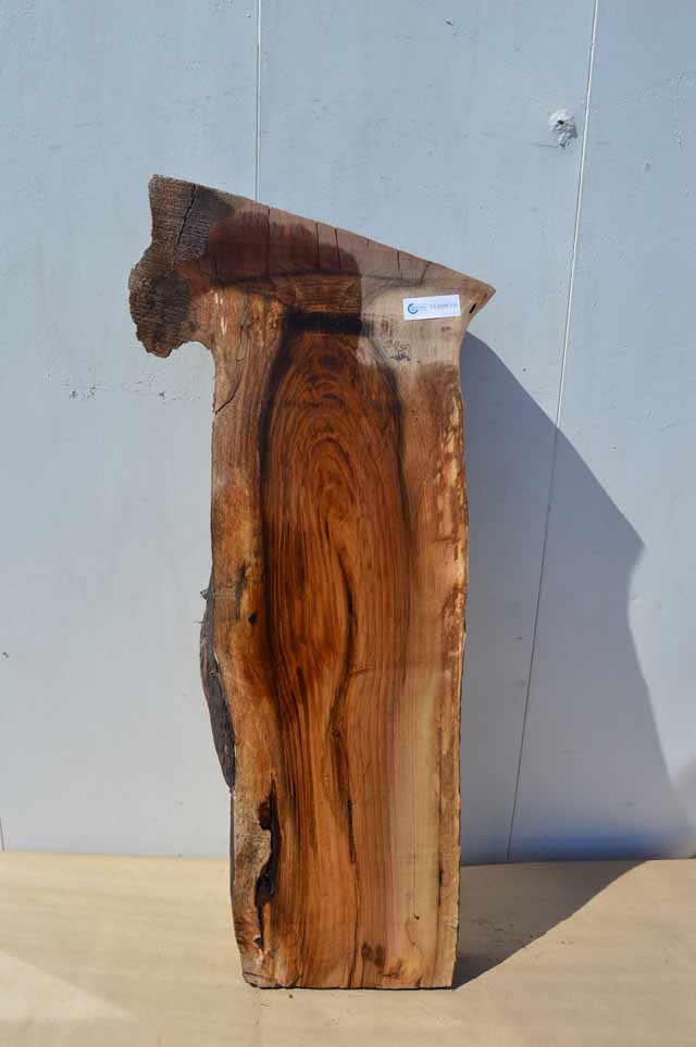 English Walnut Specialty Piece CLASPC135