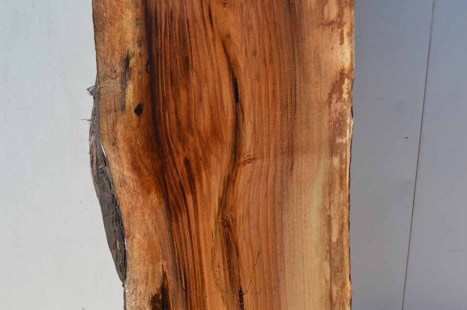 English Walnut Specialty Piece CLASPC135