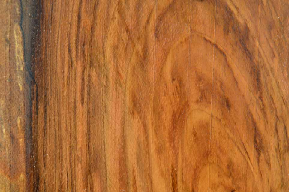 English Walnut Specialty Piece CLASPC135
