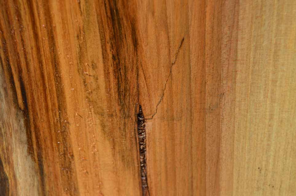 English Walnut Specialty Piece CLASPC135