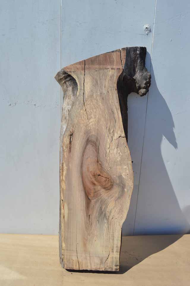 English Walnut Specialty Piece CLASPC135