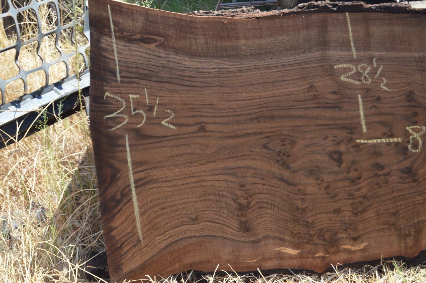 Walnut Slab WALSLB93B