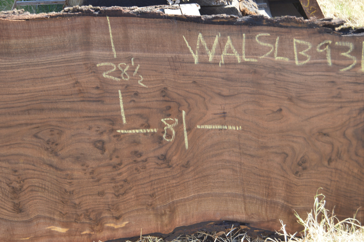 Walnut Slab WALSLB93B