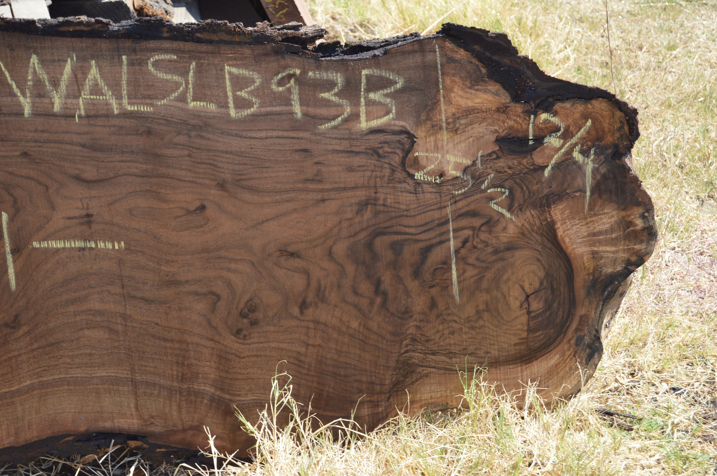 Walnut Slab WALSLB93B