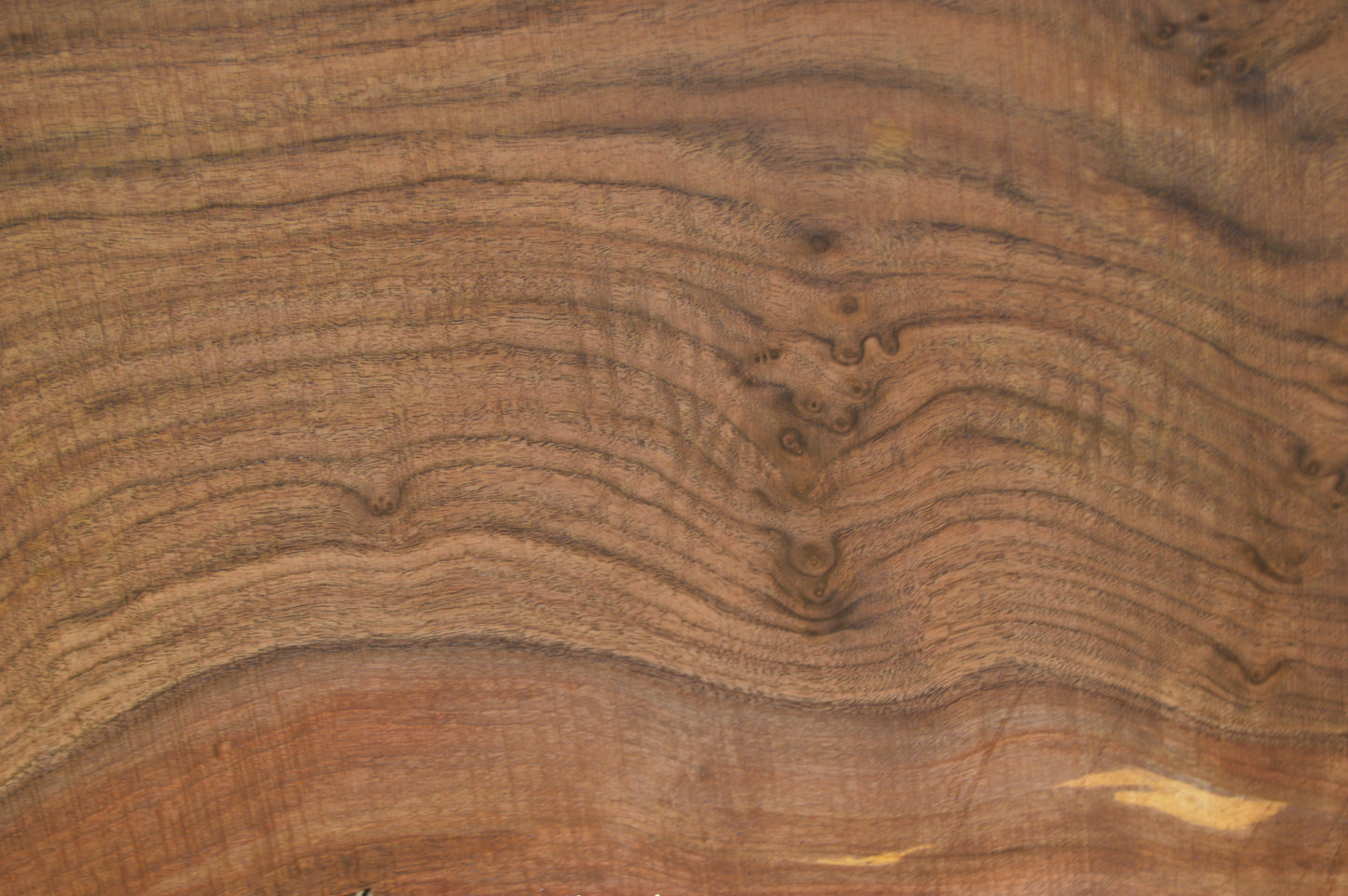 Walnut Slab WALSLB93B