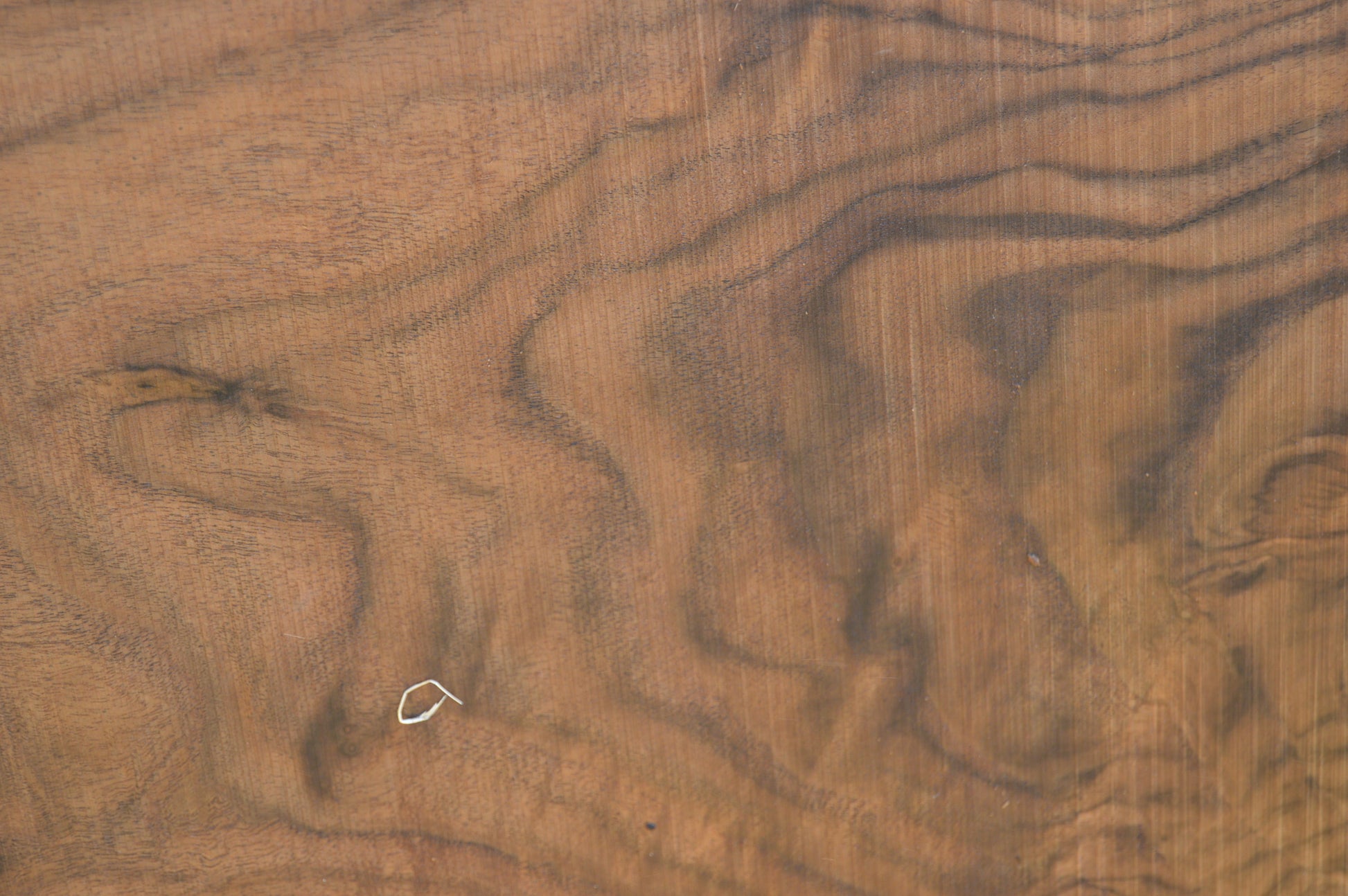 Walnut Slab WALSLB93B