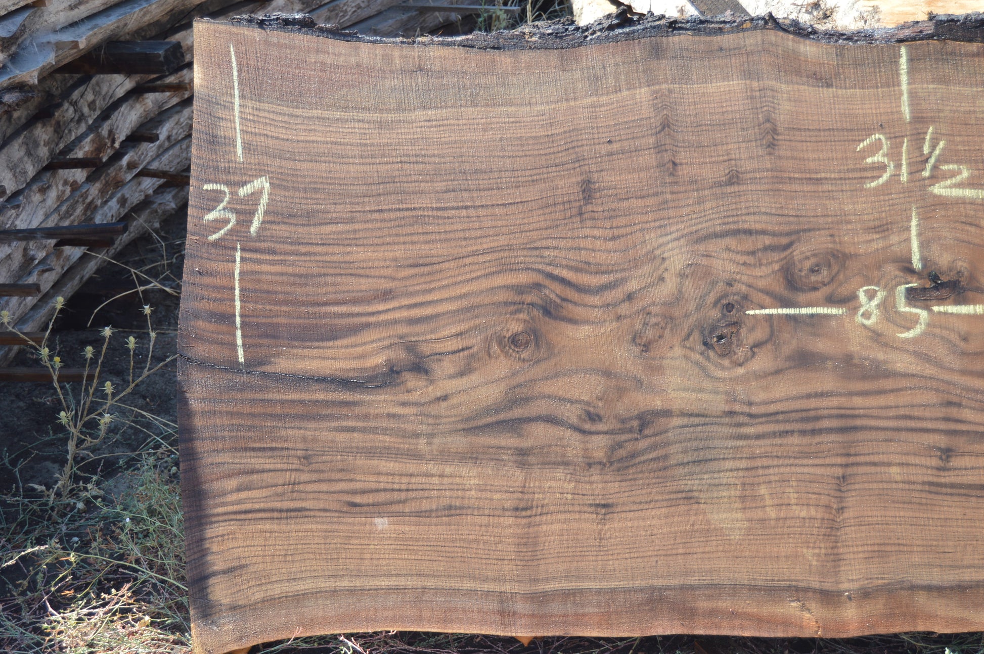 Walnut Slab WALSLB93E