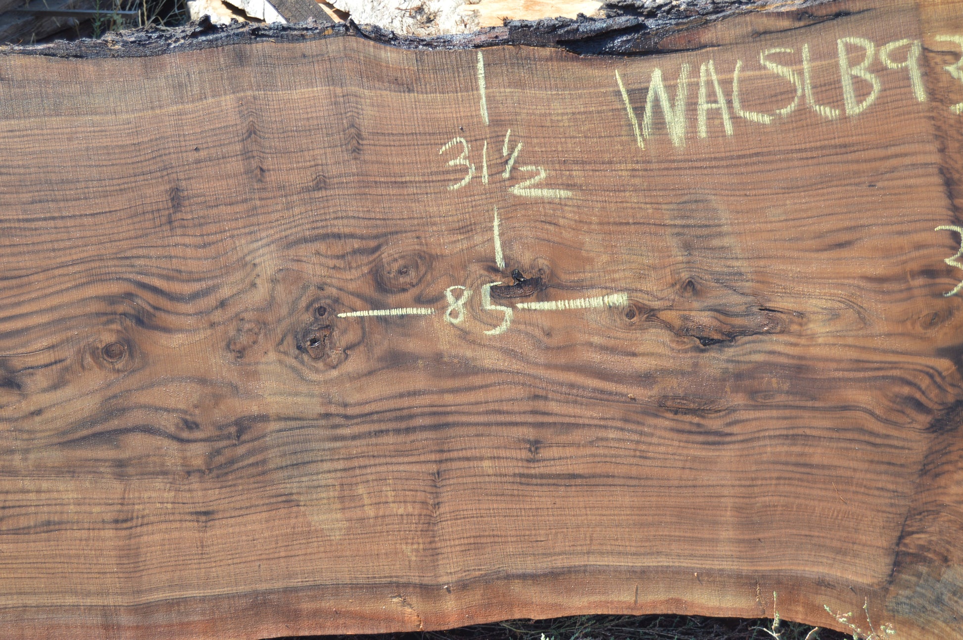 Walnut Slab WALSLB93E