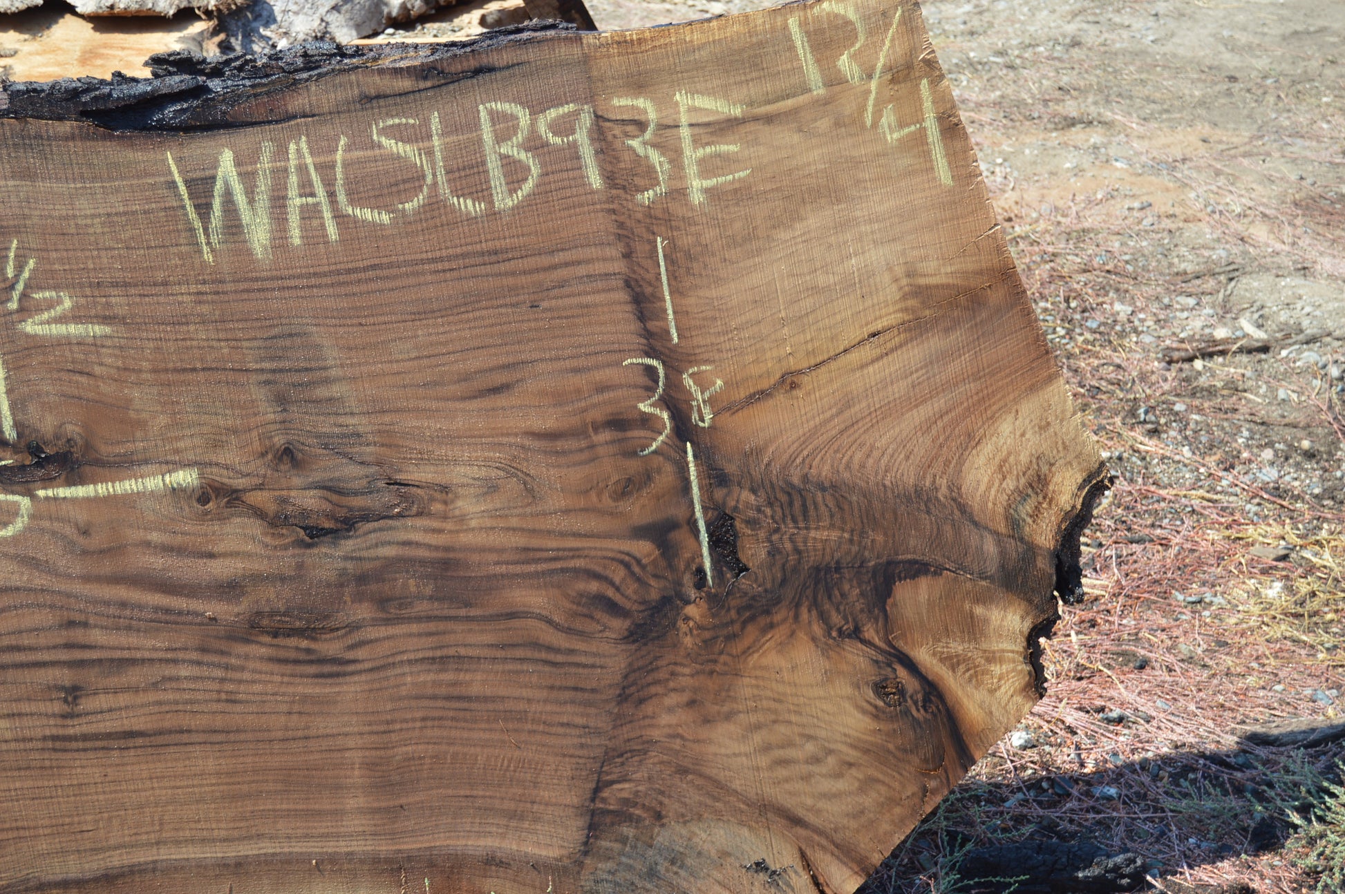 Walnut Slab WALSLB93E
