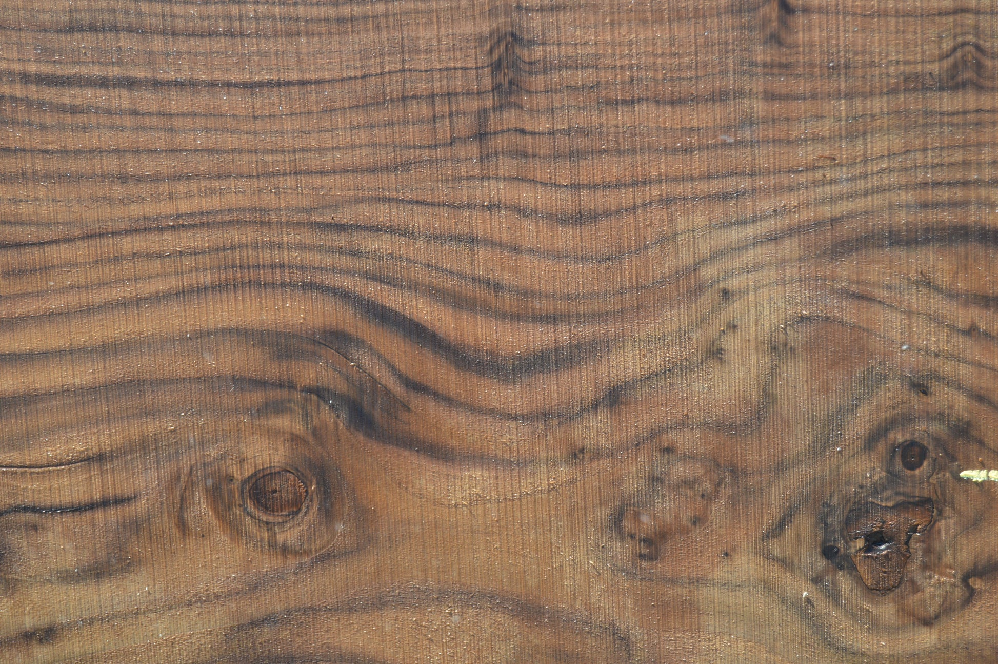Walnut Slab WALSLB93E