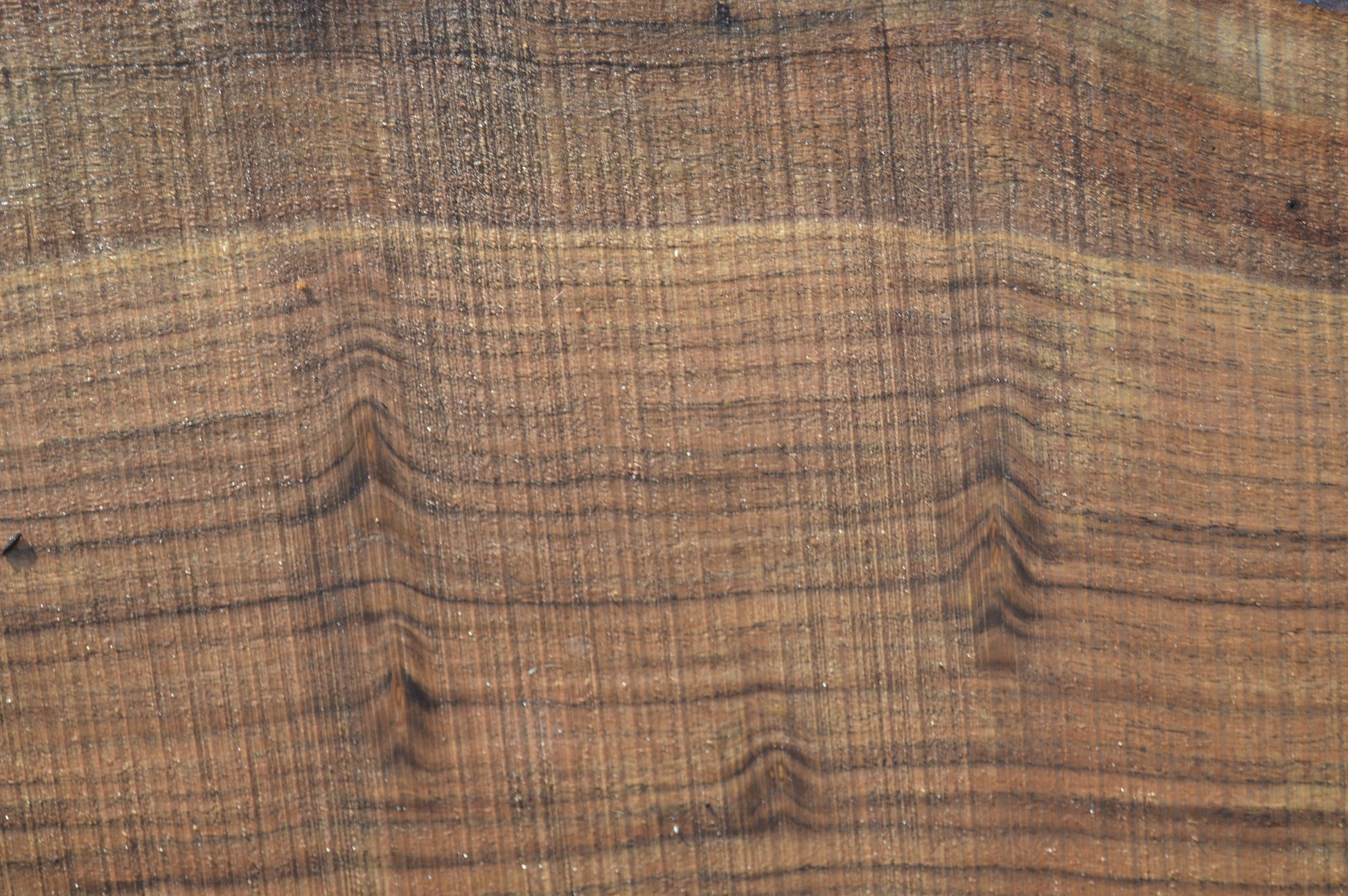 Walnut Slab WALSLB93E