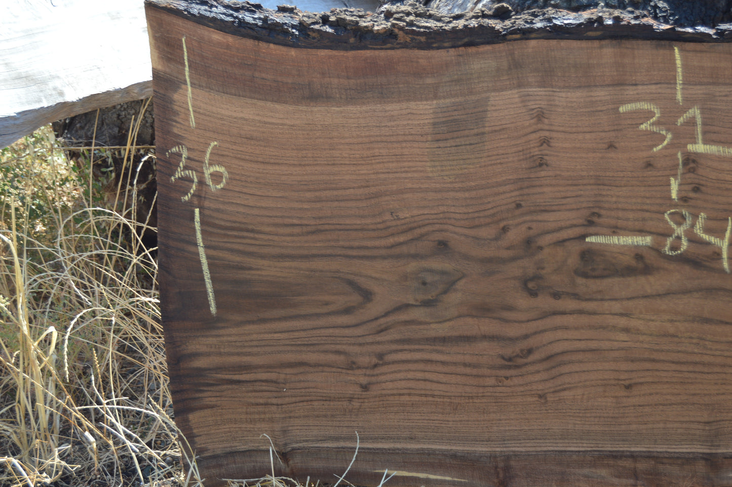 Walnut Slab WALSLB93F