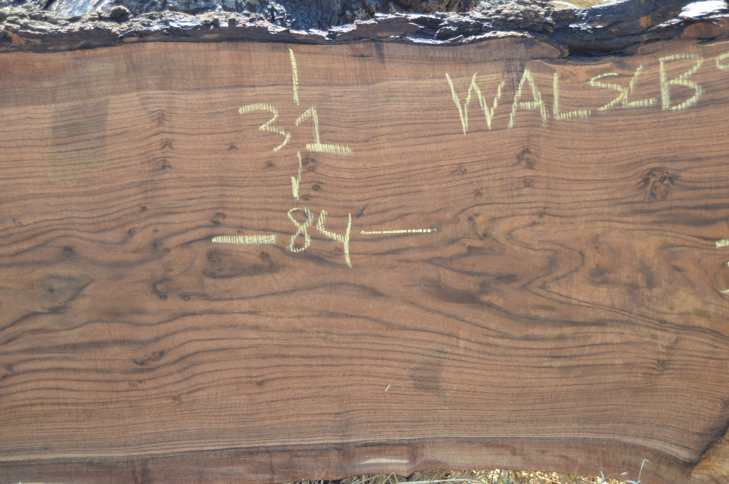 Walnut Slab WALSLB93F