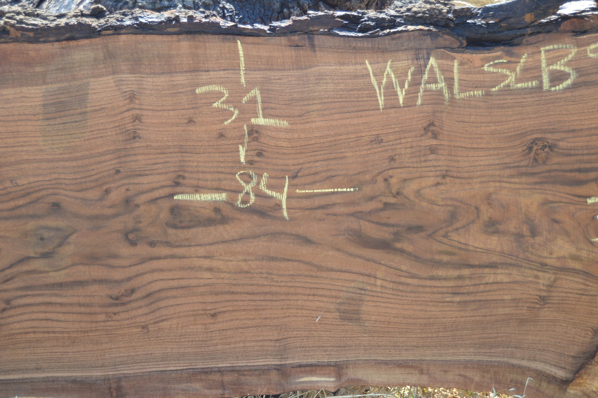 Walnut Slab WALSLB93F