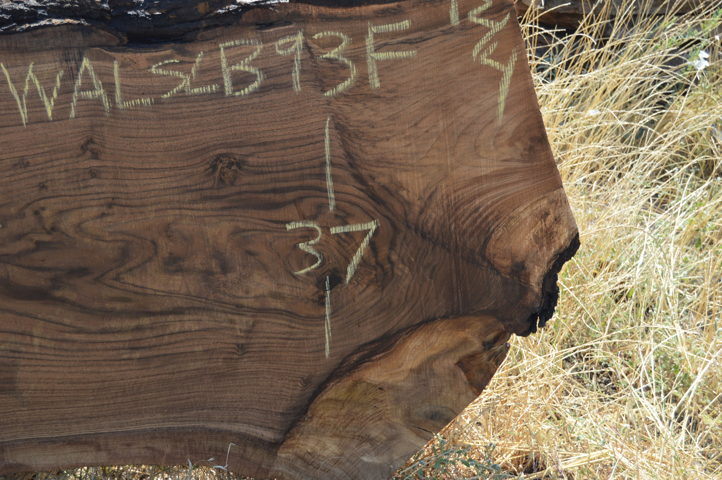 Walnut Slab WALSLB93F