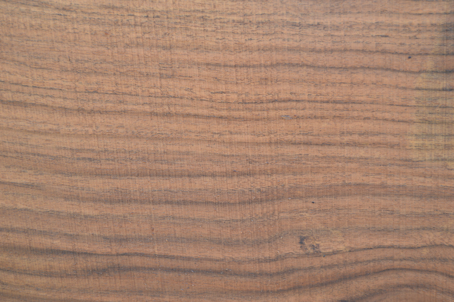 Walnut Slab WALSLB93F