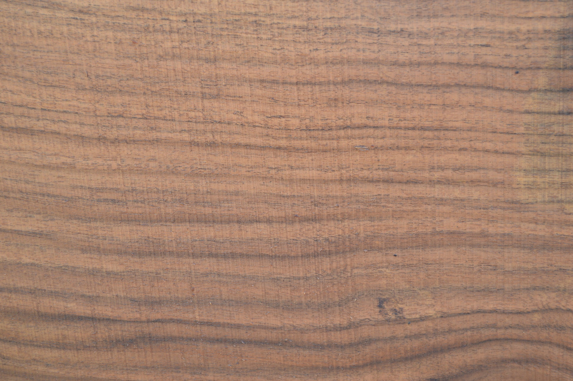 Walnut Slab WALSLB93F