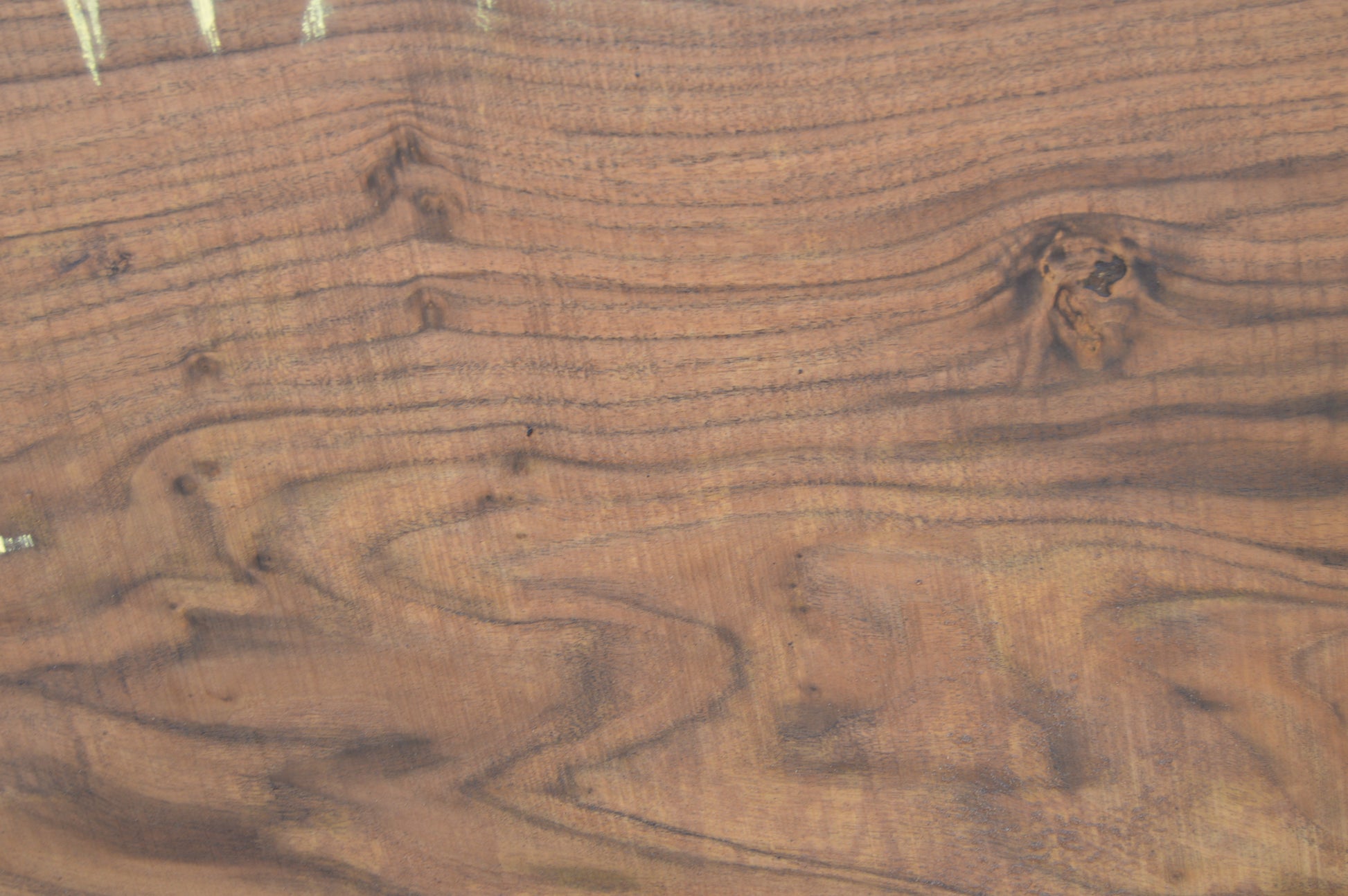Walnut Slab WALSLB93F