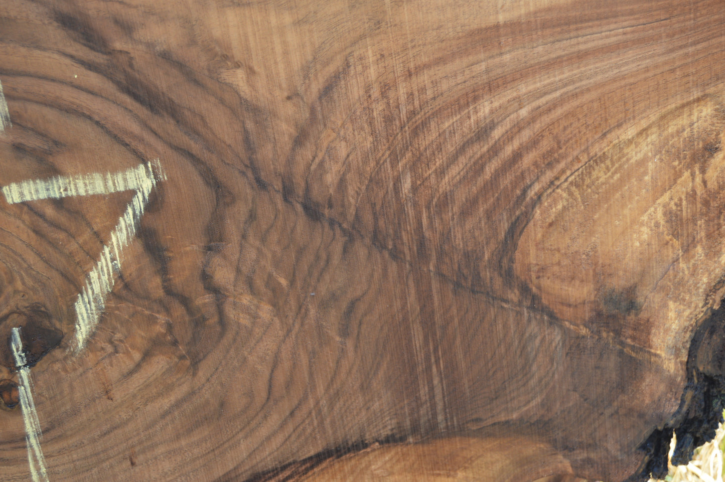 Walnut Slab WALSLB93F