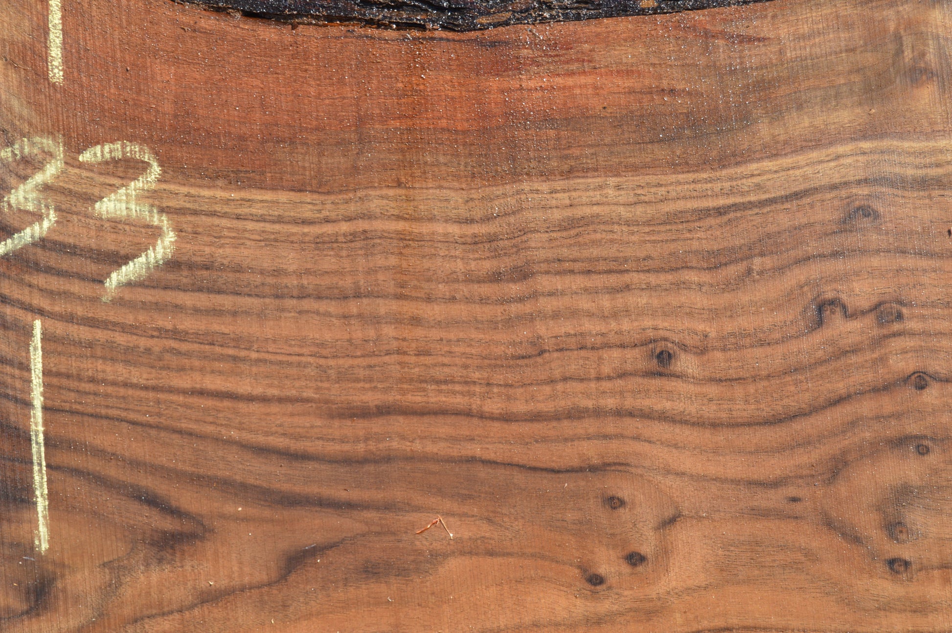 Walnut Slab WALSLB93G