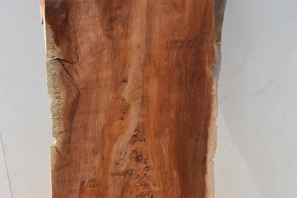Cottonwood Specialty Piece COTSPC42