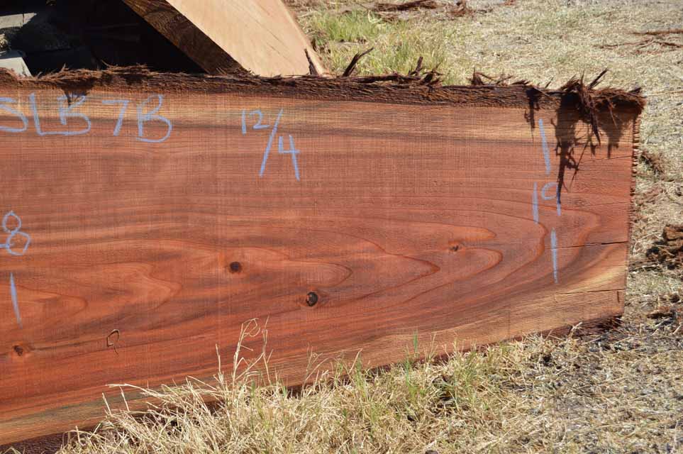 Redwood Slab REDSLB7B