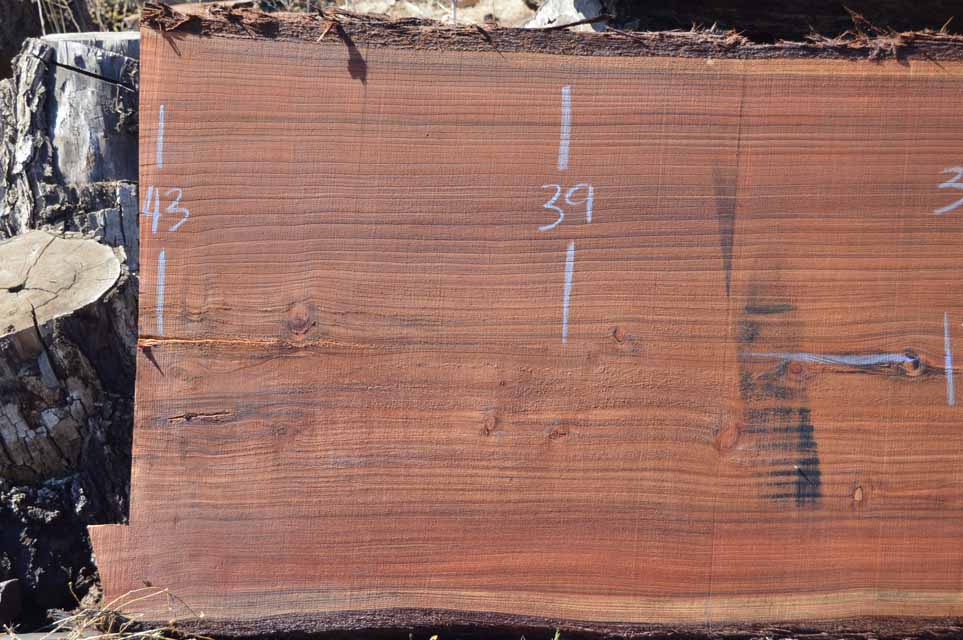 Redwood Slab REDSLB7D