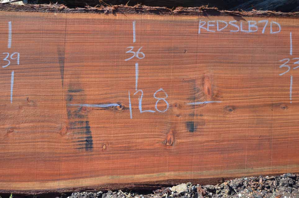 Redwood Slab REDSLB7D