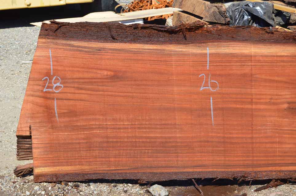 Redwood Slab REDSLB7I