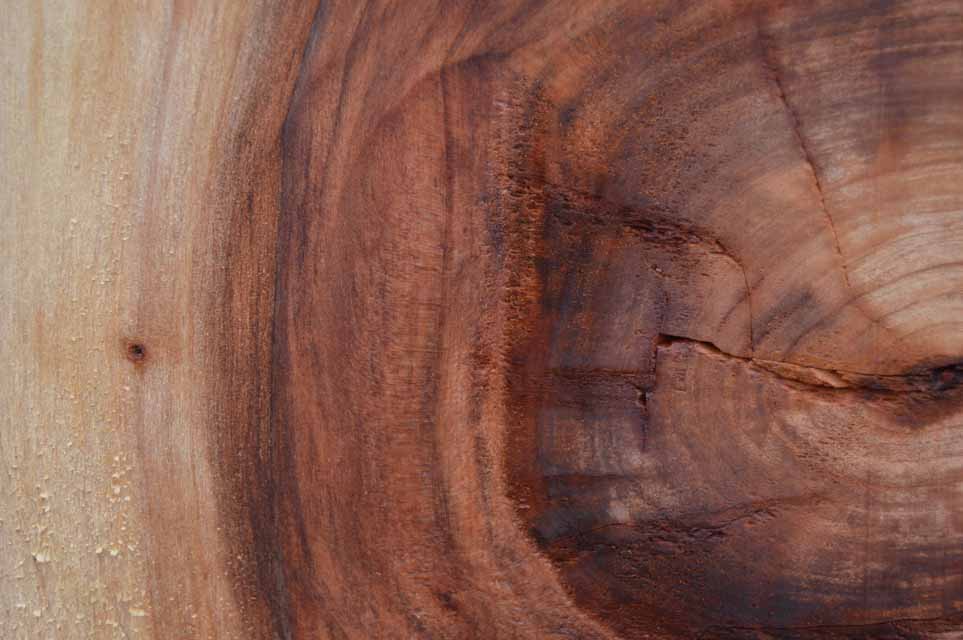 Redwood Specialty Piece REDSPC41