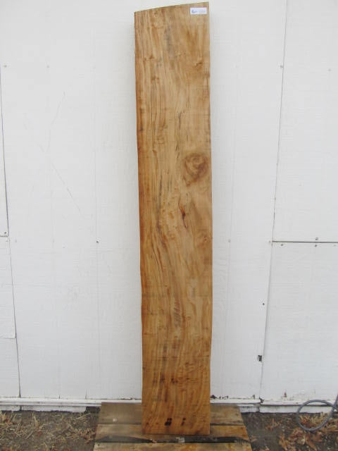 Cottonwood Specialty Piece COTSPC46