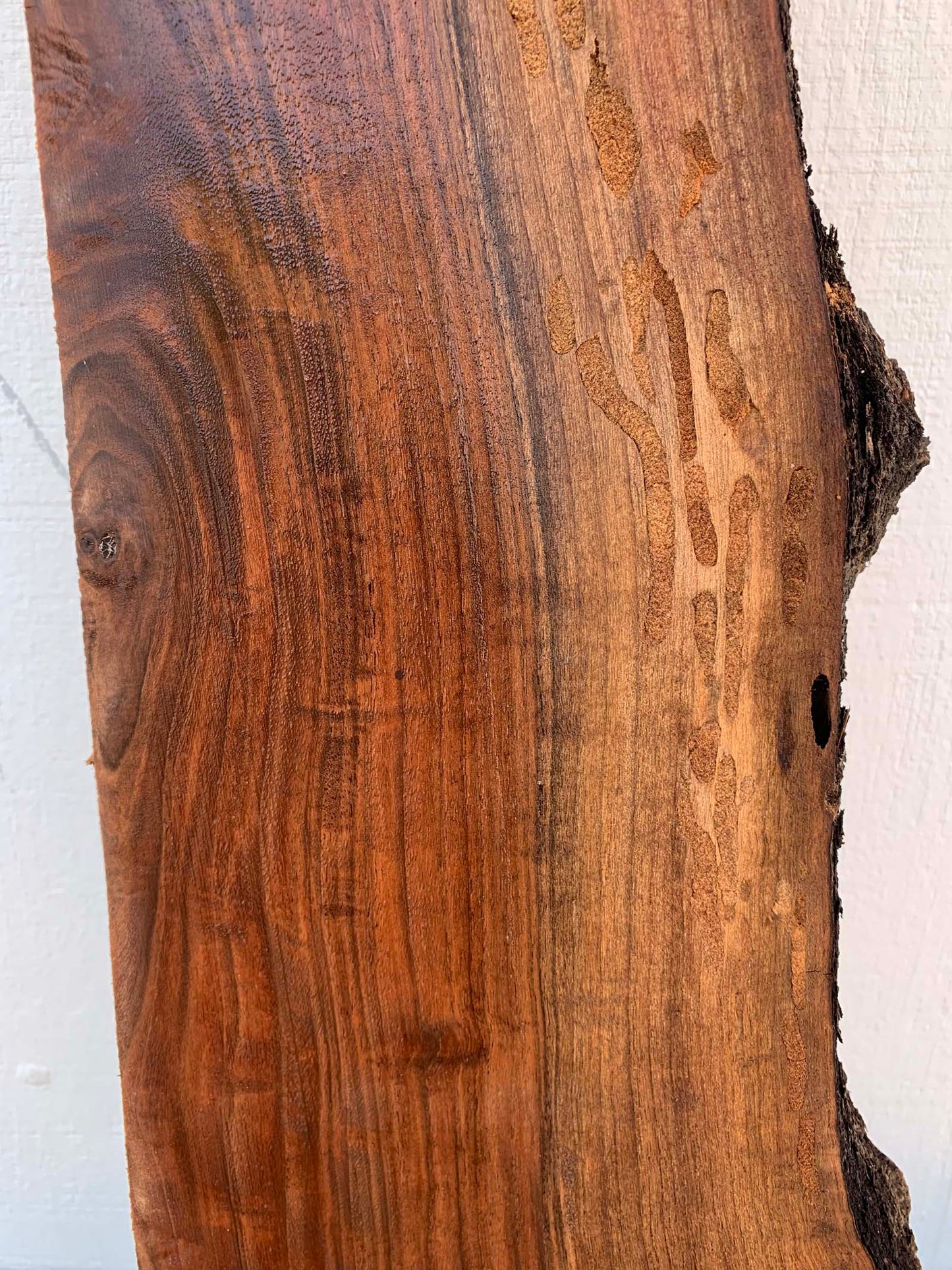 Claro Walnut Specialty Piece CLASPC344